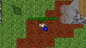 Marshall Rellim on screen