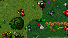Najoh on screen
