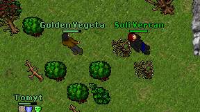 Soli Vercan on screen