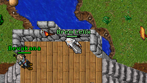 Brew Celix on screen