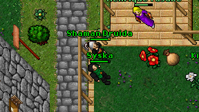 Syska on screen