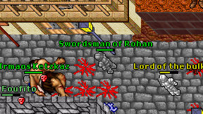 Swordsman of Rohan on screen