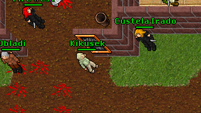 Kikusek on screen