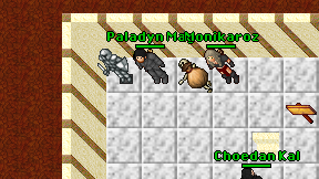 Paladyn Mag on screen