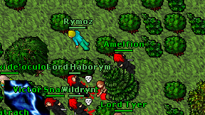 Amelfion on screen