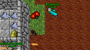 Kokdie on screen