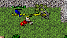 Lady Dark-Knightaapl on screen