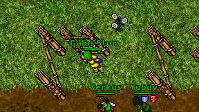 Galas Stor on screen