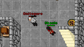 Skaule on screen