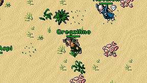 Gregzihno on screen