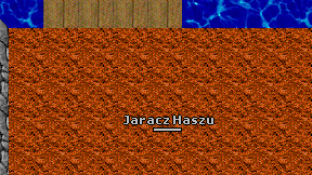 Jaracz Haszu on screen