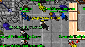 Symphtom Druid on screen