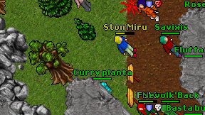 Curry planta on screen