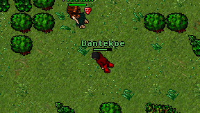 Bantekoe on screen