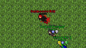 Saimoons Rik on screen