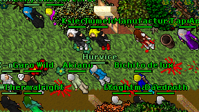 Hurvice on screen
