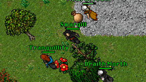 Smargill on screen