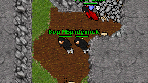 Bop Marlej on screen