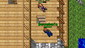 Bewehufa on screen