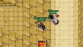Aanyara on screen