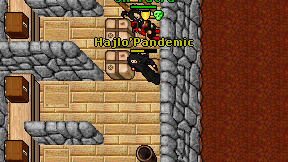 Hajlo'Pandemic on screen