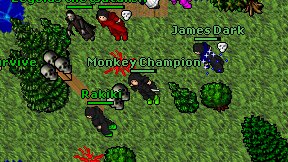 Monkey Champion on screen