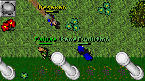 Pene Evolution on screen