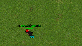 Level Ganus on screen