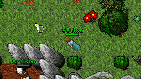 Setixa on screen