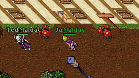 Ju Maldac on screen
