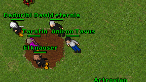 Aniroo Tavus on screen