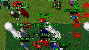Everix on screen