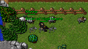 Vitor of Nightmare on screen