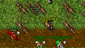 Sebo Sky on screen