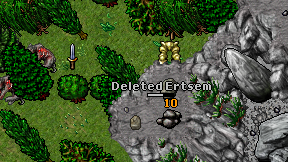 Deleted Ertsem on screen