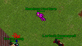 Hominus Nocture on screen