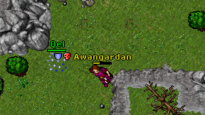 Awangardan on screen