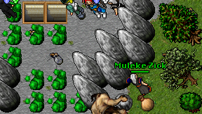 Muleke Zick on screen