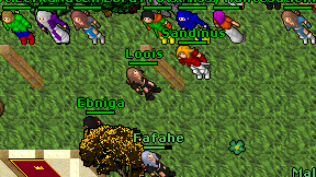 Loois on screen