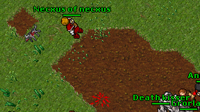 Necxus of necxus on screen
