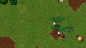 Achillon on screen