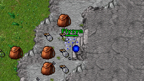 Flyzyn on screen
