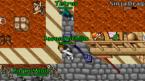 Tetrus on screen