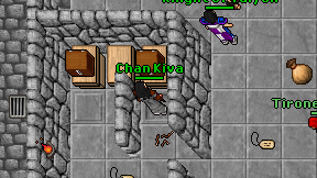Chan Kiva on screen