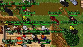 Druid majas on screen