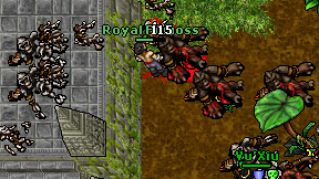 Royal Furioss on screen