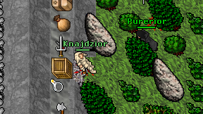 Knajdzior on screen