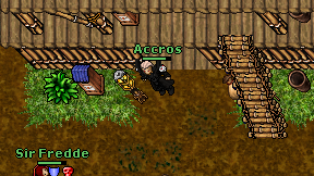 Accros on screen