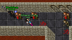Slimacz'eq on screen
