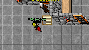 Pilociara on screen